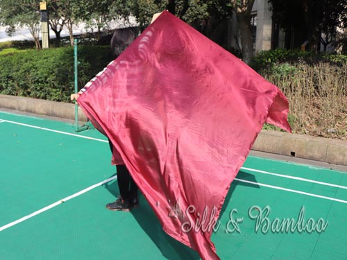 2.7m*1.4m Bordeaux 5mm belly dance silk veil - Click Image to Close